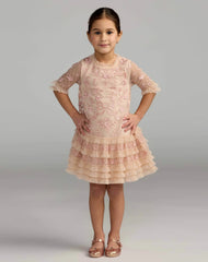 Girls Micro Ruffle Embroidered Mini Dress