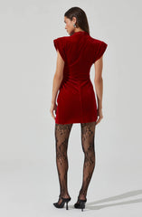 Lbruh Ila Velvet Mini Dress