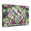 Pokémon TCG: Tsareena-GX Box