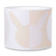 Pokémon Home Accents Lampshade