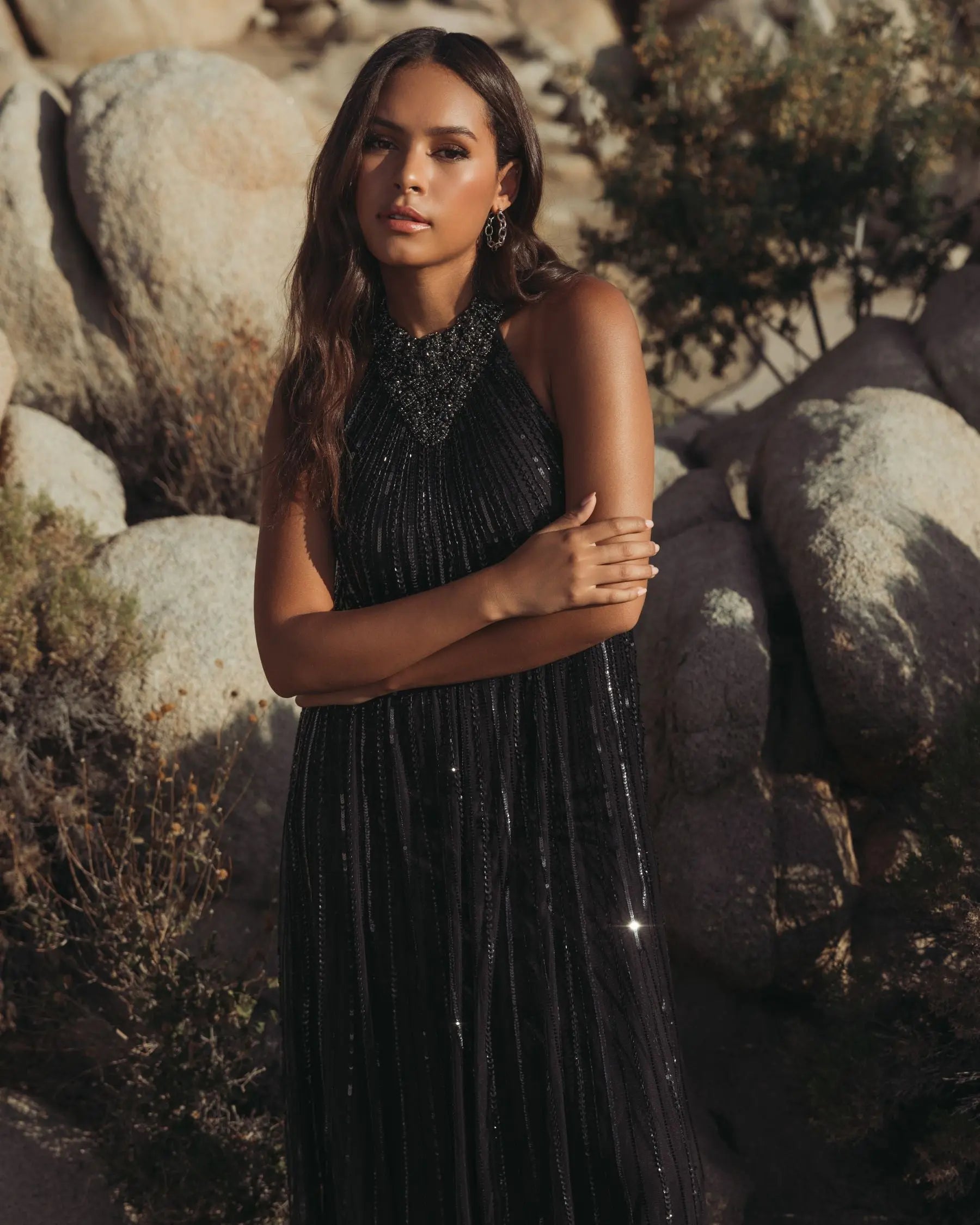 Black Sleeveless Halter Embellished Trapeze Gown