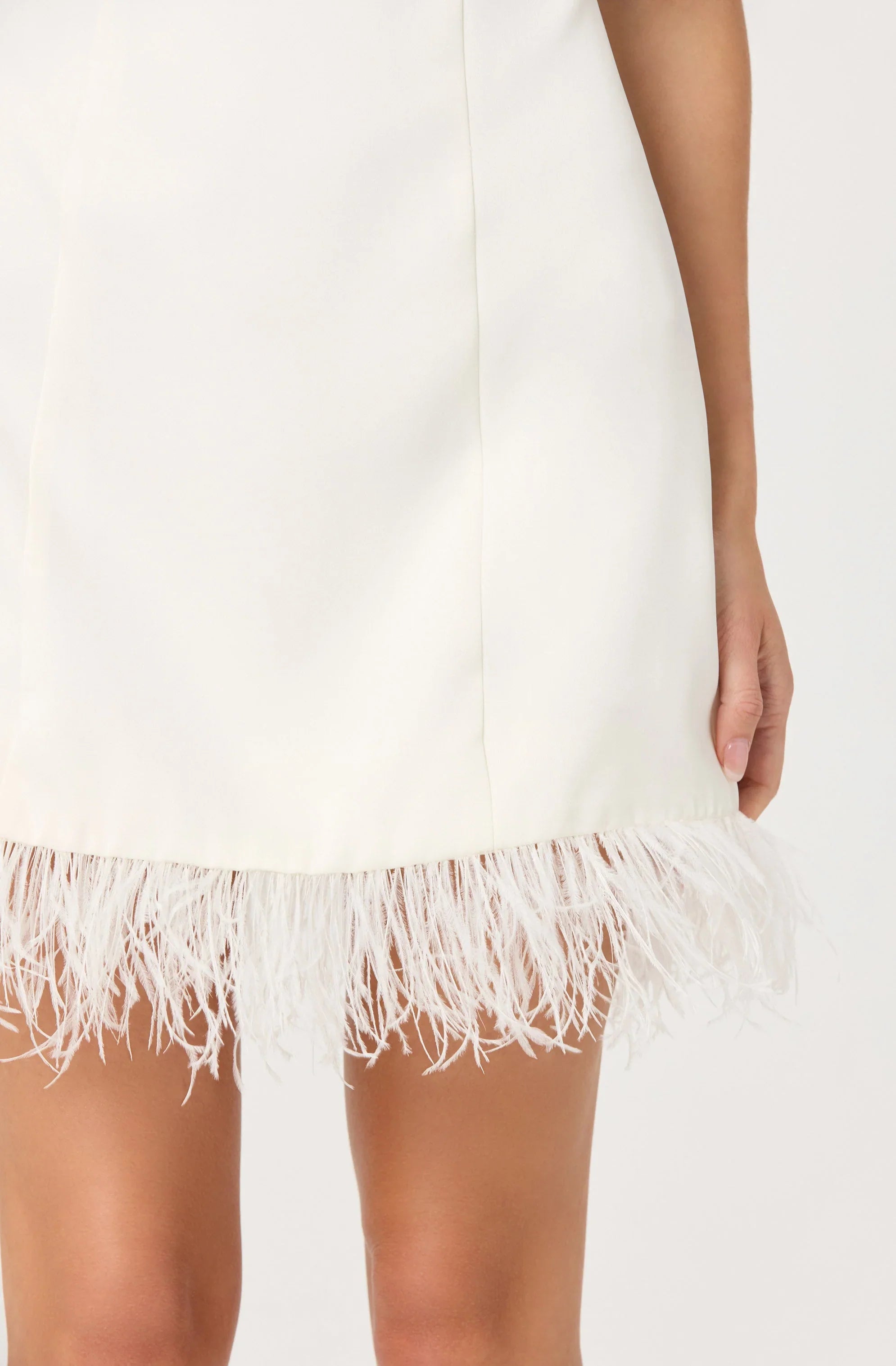 Lbruh Alisanne Feather Trim Mini Dress