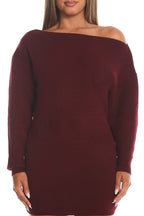Fremont One-Shoulder Fuzzy Knit Mini Dress Wine