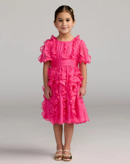 Girls Chiffon High Neck Ruffle Dress
