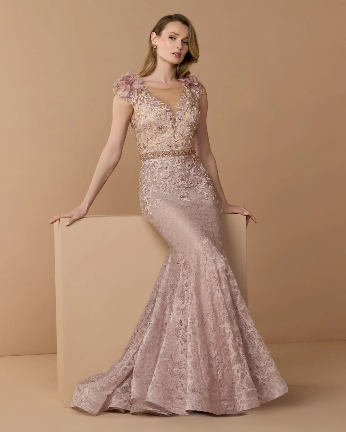 Embroidered Illusion Appliqued Bodice Trumpet Gown