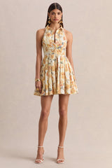 Paulie | Lemon Rose Print Poplin Skater Mini Dress