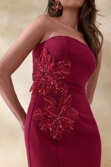Aylana | Burgundy Bandeau Maxi Dress With Embellished Detail