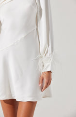 Lbruh Augusta Feather Trim Mini Dress