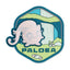 Paldea Explore Pokémon Magnet